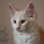 LOGO Oliver - Months 3,5 G